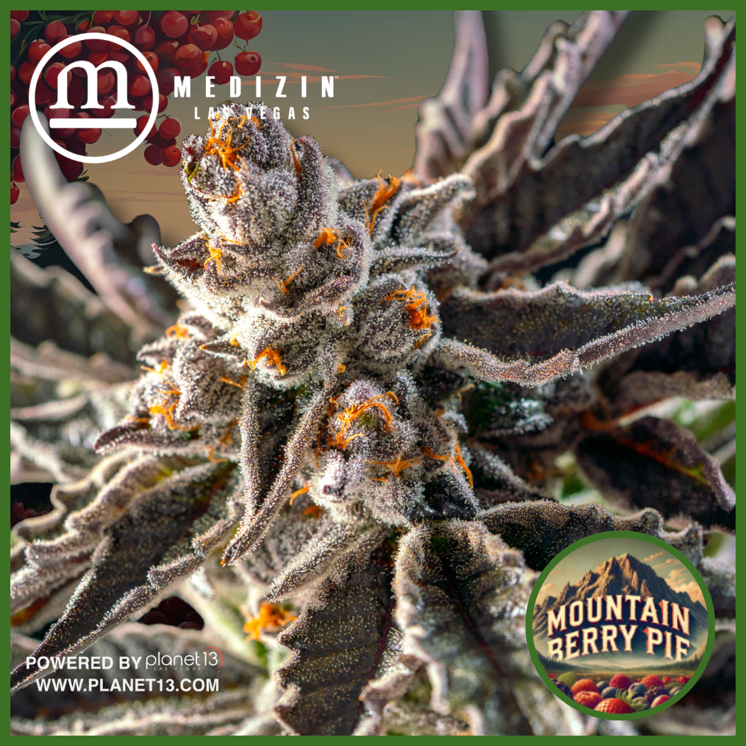 Photograph of product: Medizin Mountain Berry Pie 7g Prepack