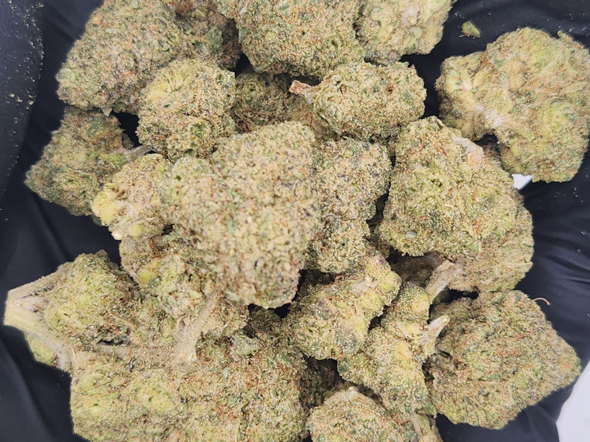 Photograph of product: BHL | Bulk Bud - Gluttany - 28g