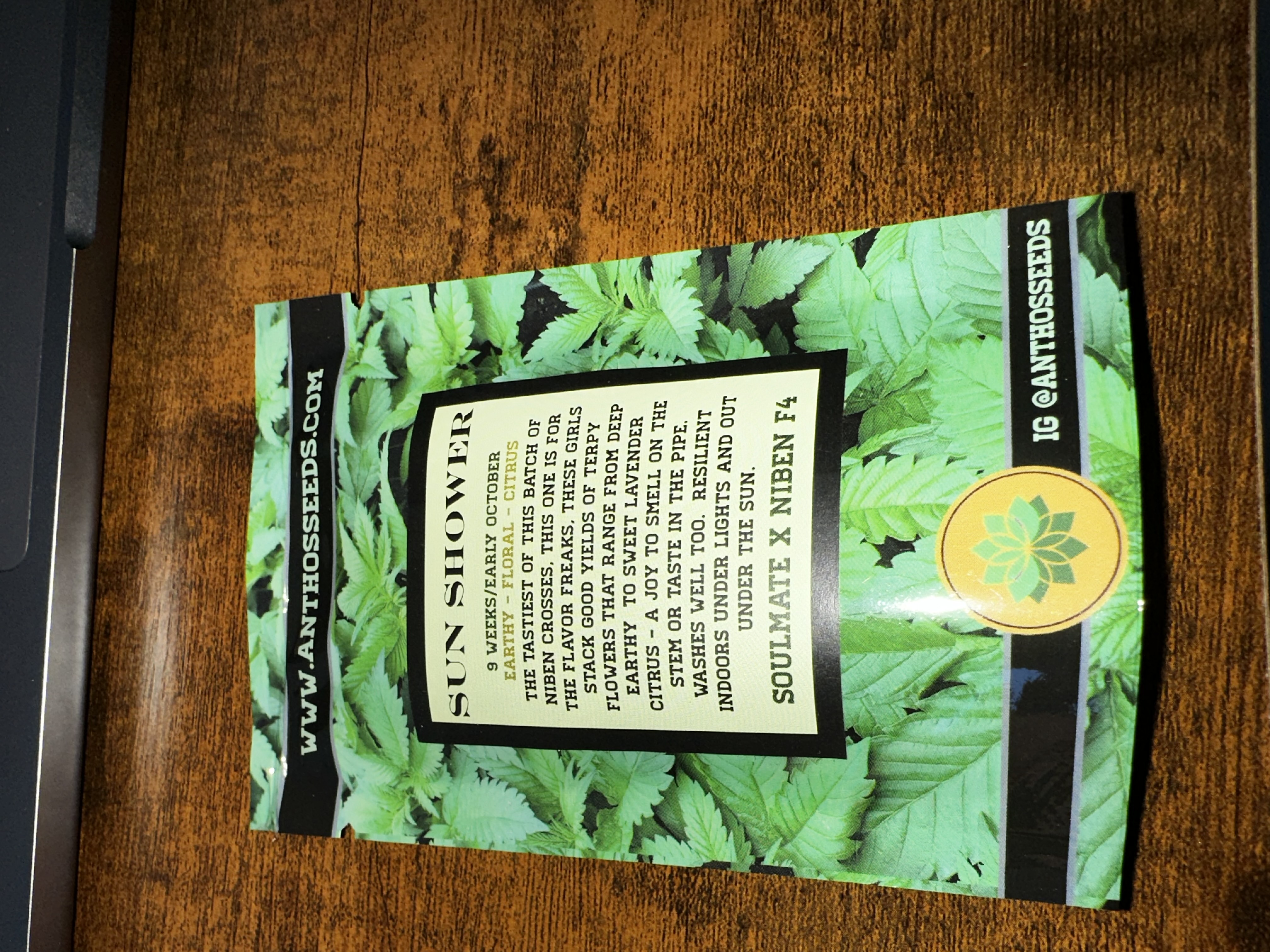Photograph of product: Anthos Seeds | Sun Shower | Regular Seed | 4-Pack
