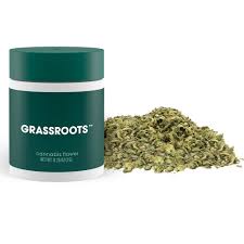 Photograph of product: JORDANZ SHAKE 14G