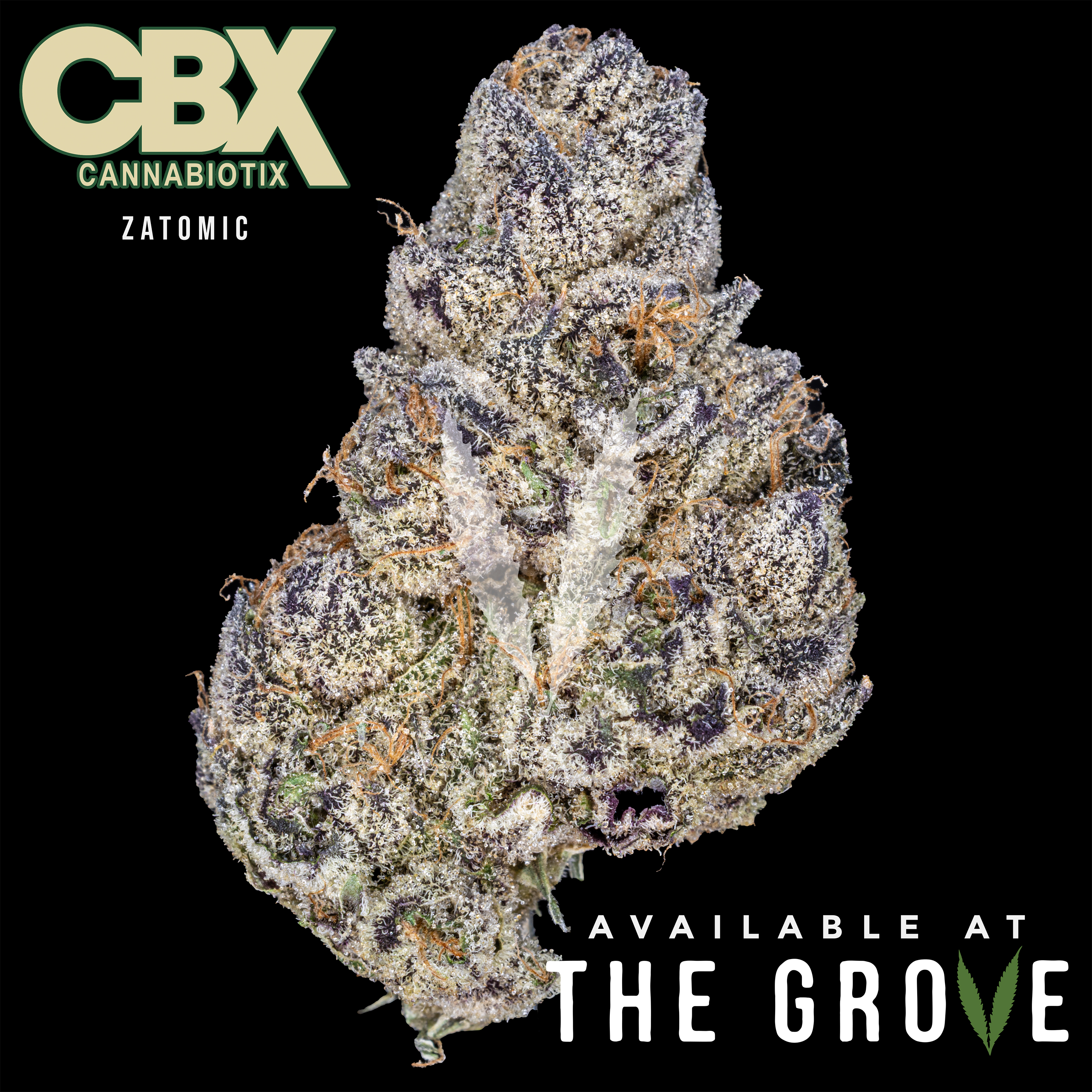 Photograph of product: CBX | Zatomic 1/8th - 3.5g