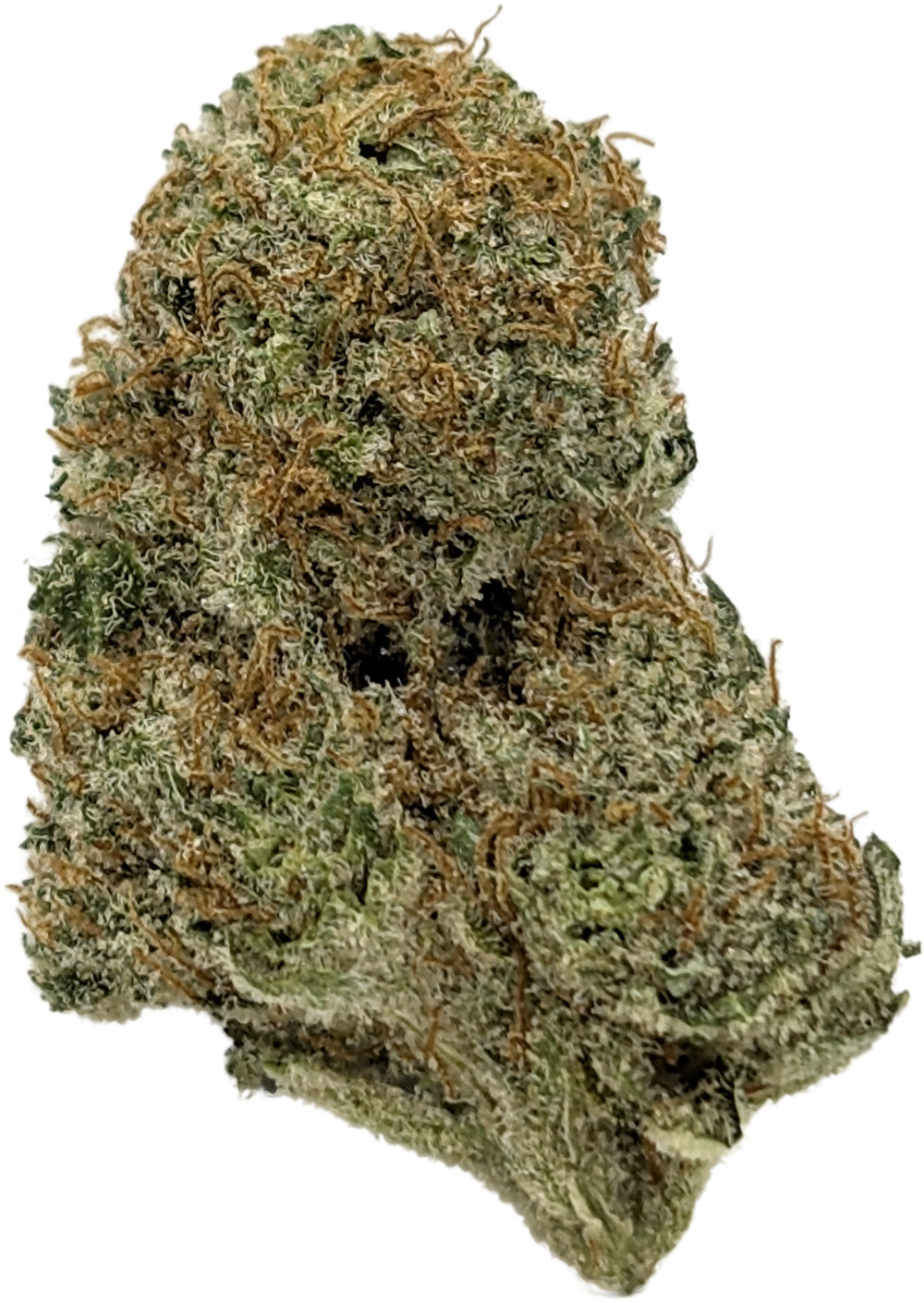 Photograph of product: Jack Herer (S) - 28g