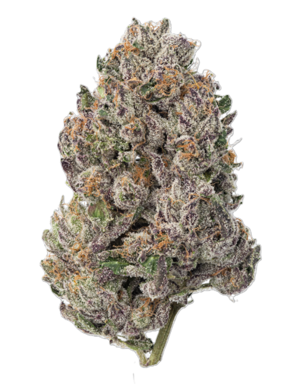 Photograph of product: Fresh | Gelato Cake - 3.5g
