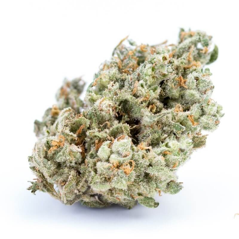 Photograph of product: Edmore Farms | Jack Herer | Flower - 28g