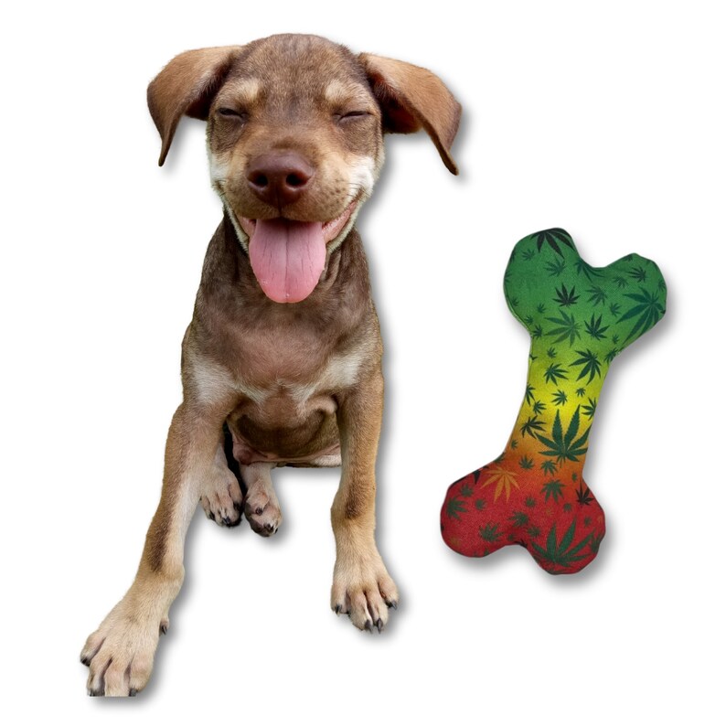 Photograph of product: PAW:20 | Dog Toy | Stoned To Da Bone