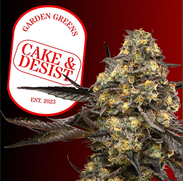 Photograph of product: Garden Greens | Flower | Cake & Desist | 3.5g