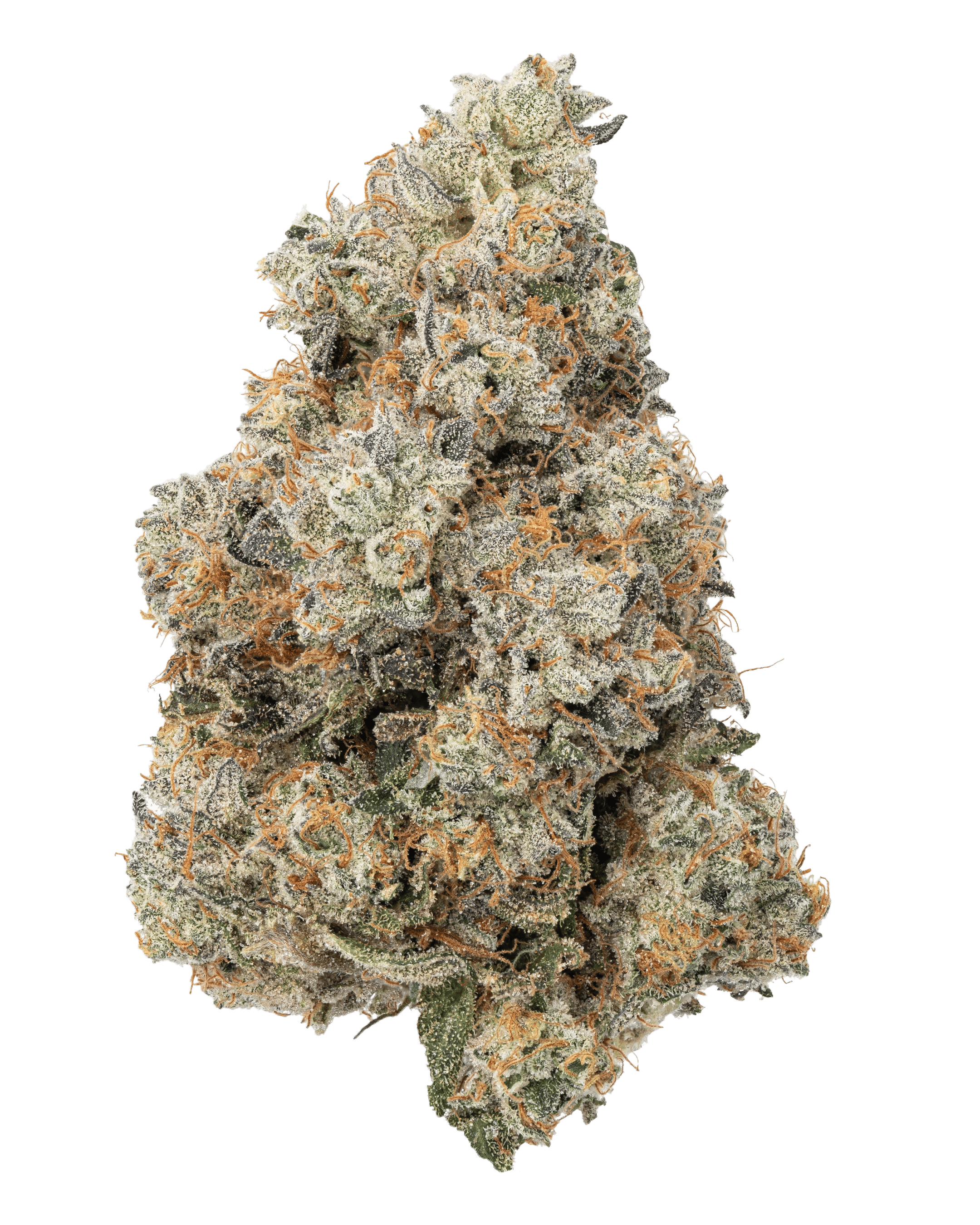 Photograph of product: Zips | Jetfuel x Gelato - 28g