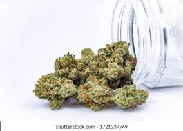 Photograph of product: Zerealz | Farmcanna - 28g