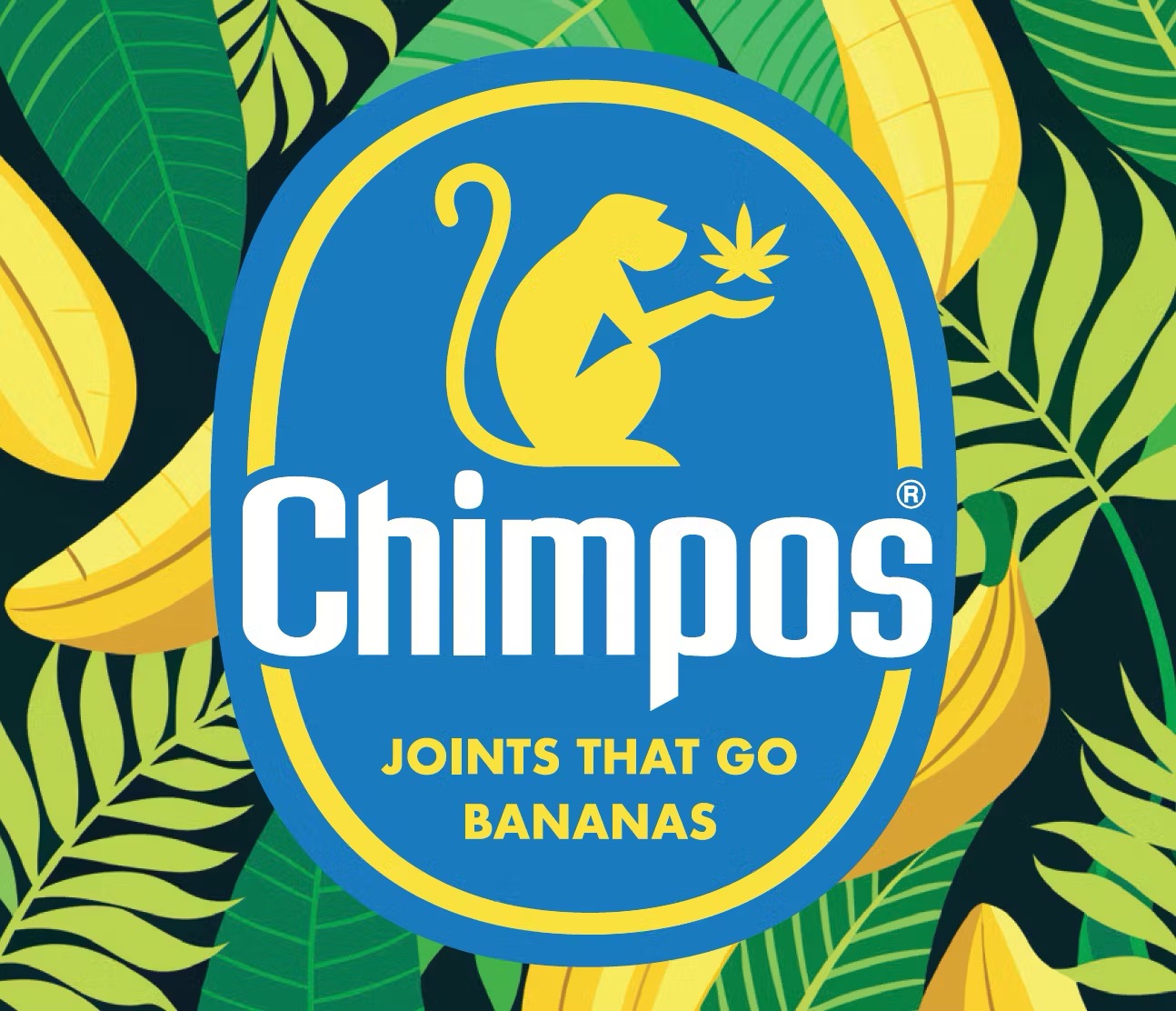 Photograph of product: Chimpos l Citrus Burst l Preroll Pack l 10 x 1 g
