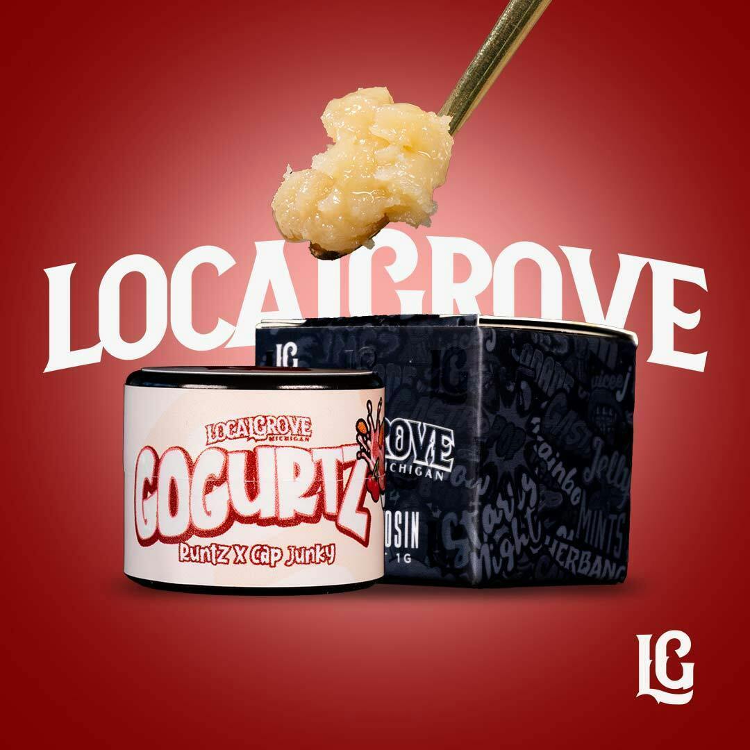Photograph of product: Gogurtz Live au chocolat Rosin