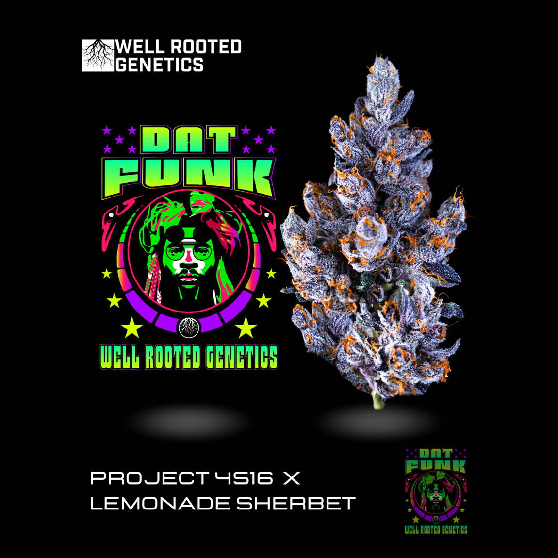 Photograph of product: Well Rooted | Dat Funk | 3.5g