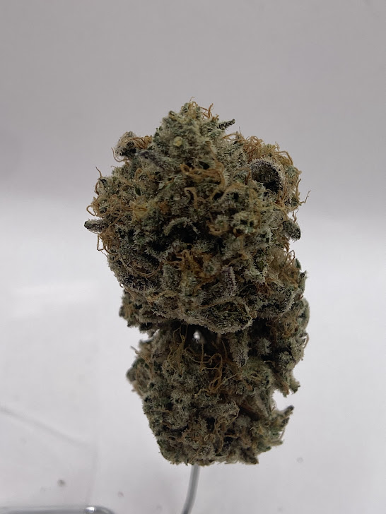 Photograph of product: Oregon Roots | Oui'd-Hybrid | Holiday Special | $90 OZ - 14g