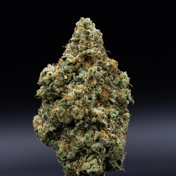 Photograph of product: Jar Co | Motorbreath | Flower - 28g