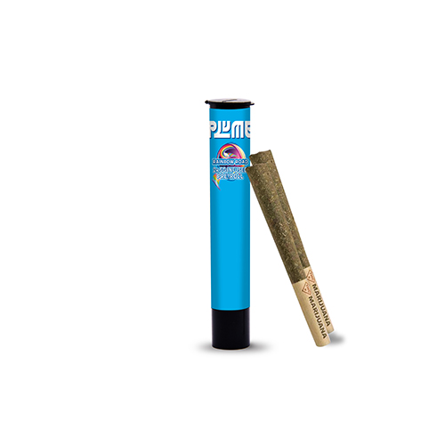 Photograph of product: Rainbow Road - 2pk Infused Pre-rolls - 1g