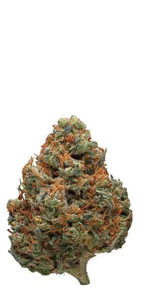 Photograph of product: Paradise Canna Co | Durban Poison (S) - 3.5g