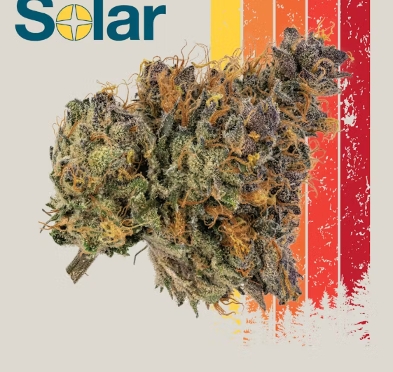 Photograph of product: Flower - G.O.A.T. Gouda - 3.5g