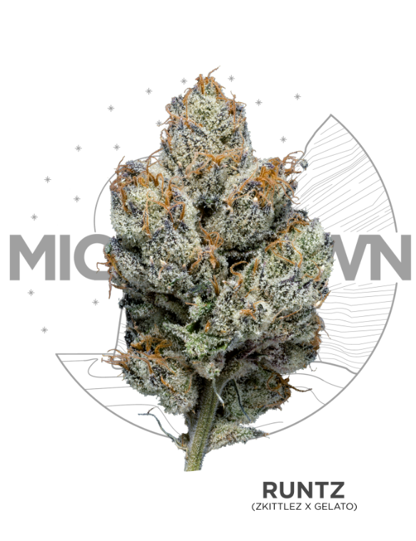 Photograph of product: Runtz - Prepackaged Jar - 28g