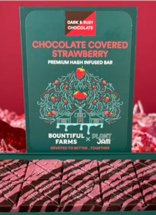Photograph of product: 100mg Chocolate Covered Strawberry Bar