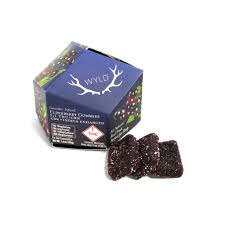 Photograph of product: Wyld CBN Elderberry Gummy