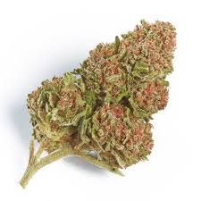 Photograph of product: 74 Suns - Northern Lights #2 Smalls - 7g