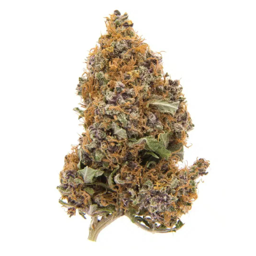 Photograph of product: GDF: Flower | Titty Sprinkles | 3.5g