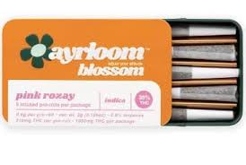 Photograph of product: Ayrloom | Pink Rozay 5pk | Infused Pre-Roll