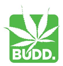 Photograph of product: Budd | Extra Strength | 5000mg CBD Pain Cream