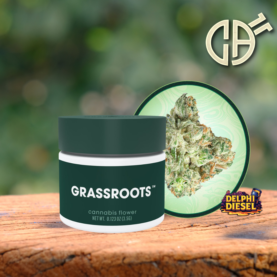 Photograph of product: Grassroots | Delphi Diesel Small Buds - 3.5g