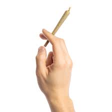Photograph of product: East Fork Cultivars | CREATE: SOUR LEMON KUSH Preroll | .5g
