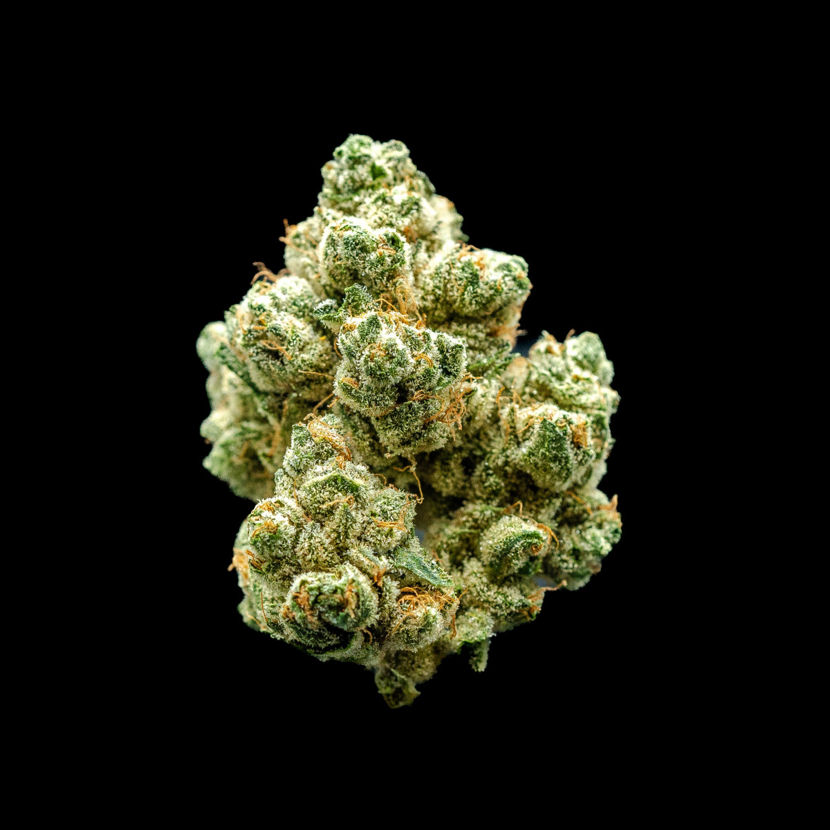 Photograph of product: Lotus | Flower | 3.5g
