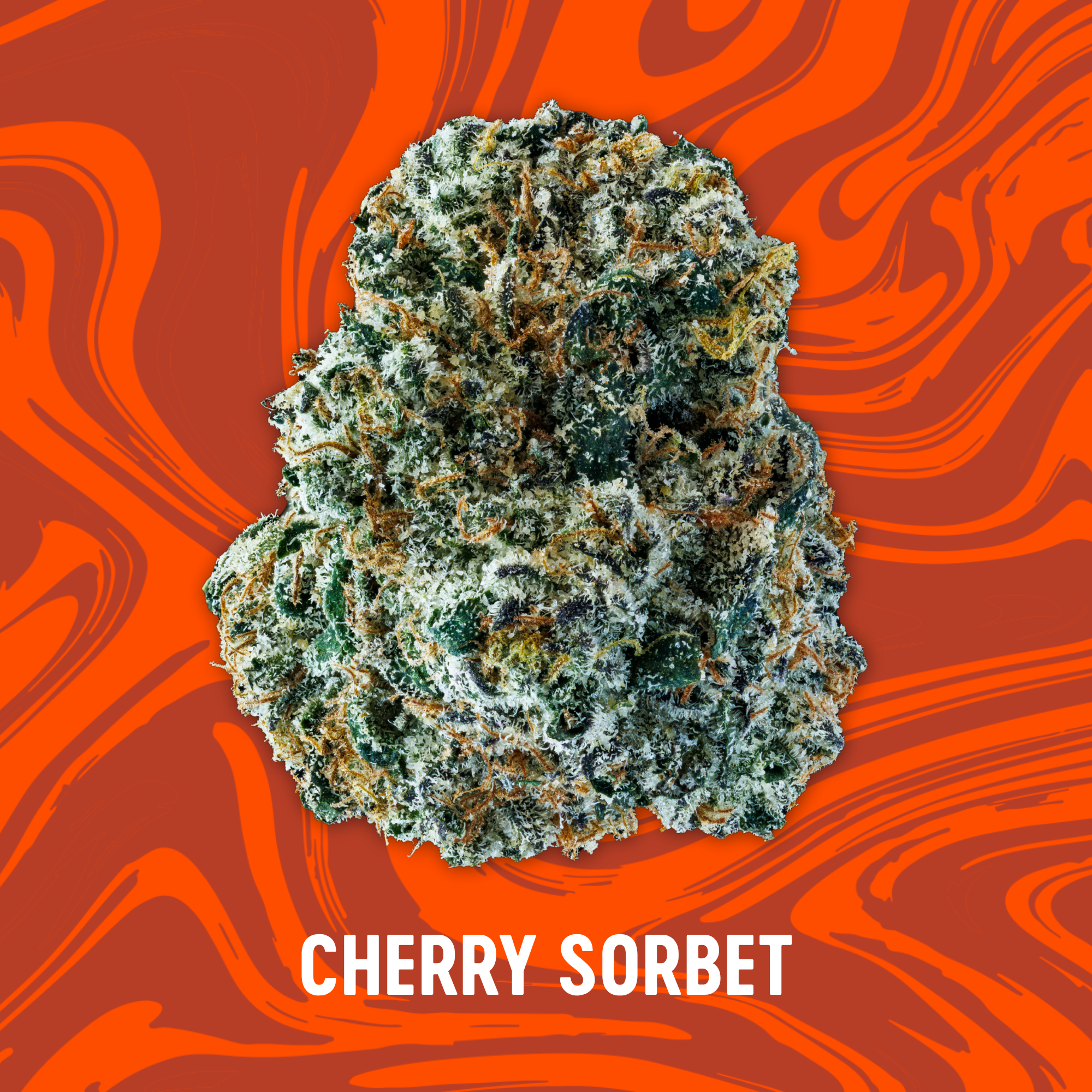 Photograph of product: Vivid - NEW DROP - Cherry Sorbet - Deli Popcorn - 84g