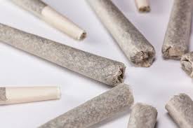 Photograph of product: Oregram- Dreamy Bliss Infused Pre Roll