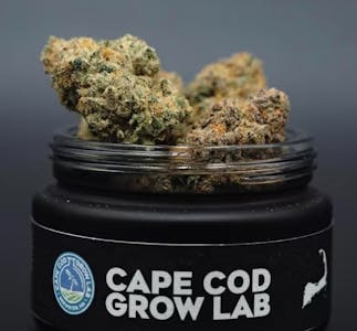 Photograph of product: Cape White Shark-3.5g TAC: 30.93%