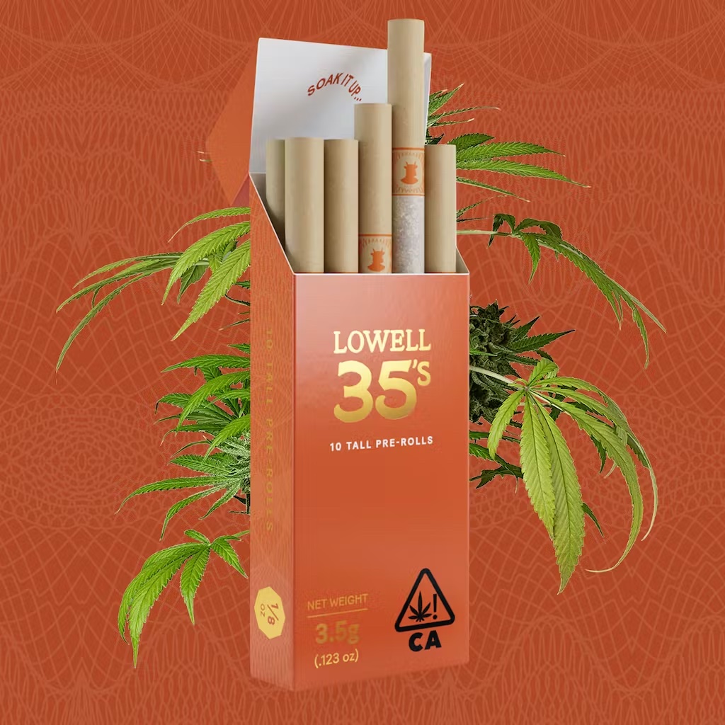 Photograph of product: 10PK - 35'S - SUNNY DAZE