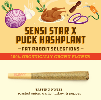 Photograph of product: Sensi Star x Puck au chocolatplant Preroll