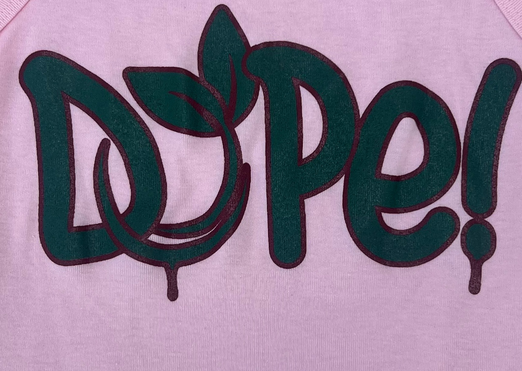 Photograph of product: The Social Leaf | Merch | Pink Sleeveless Crop Top | Small