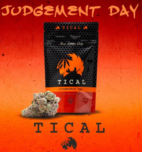 Photograph of product: TICAL Judgement Day Oui'd Small Batch Indoor Flower - 3.5g