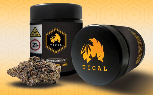 Photograph of product: TICAL | INDOOR FLOWER | DUTCH TREAT | JAR | 3.5G