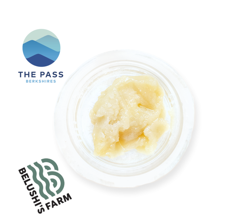 Photograph of product: Live Rosin | Governmint Oasis