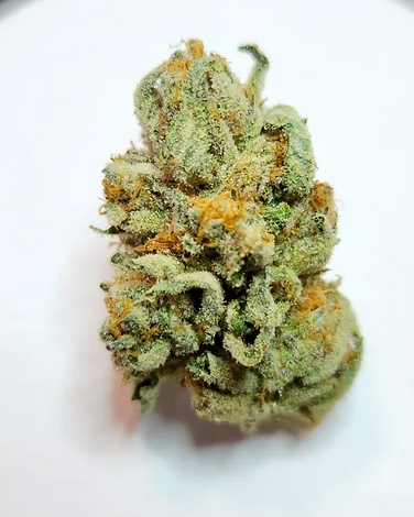 Photograph of product: Mt. Hood Magic - 1g