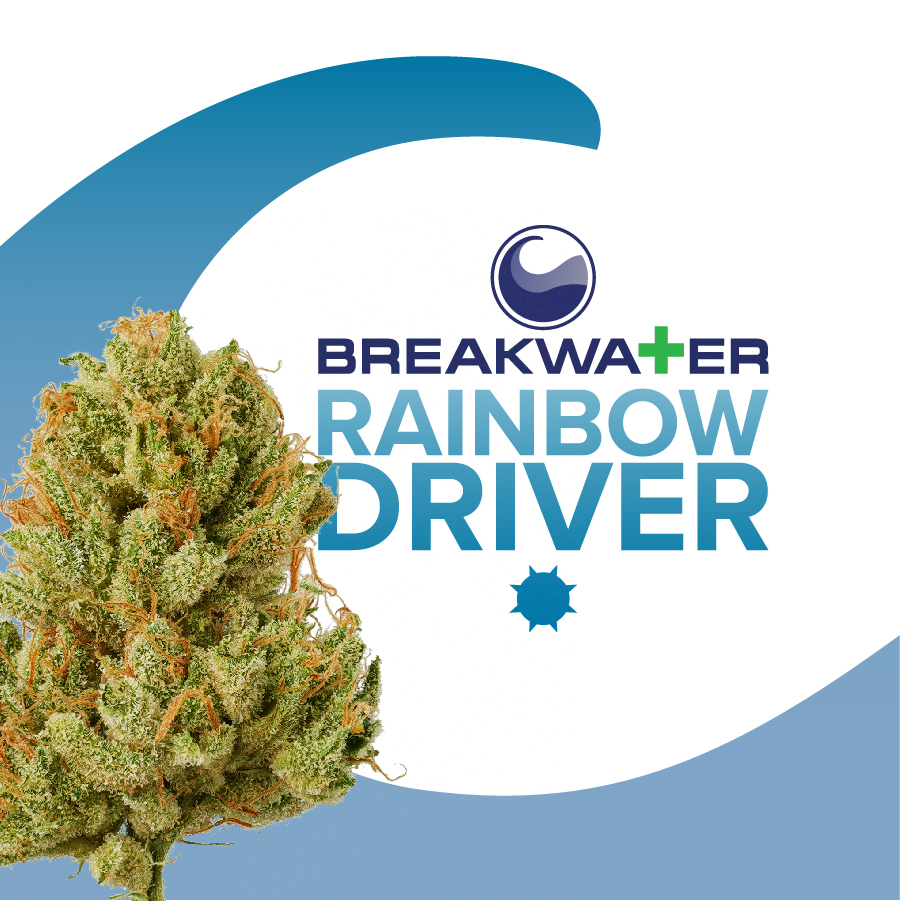 Photograph of product: Breakwater  |  Rainbow Driver  | Flower | Whole Flower - 7g