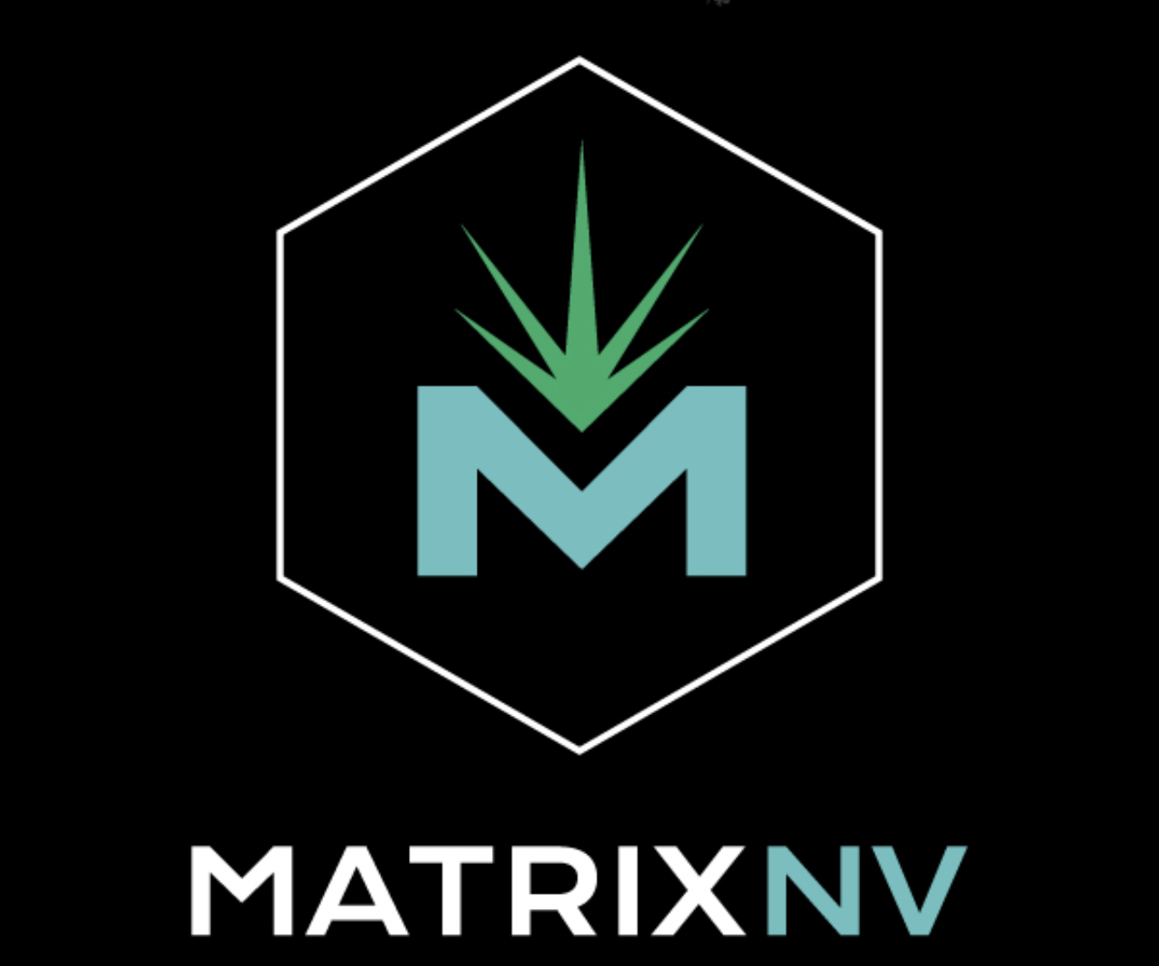 Photograph of product: Matrix | Now and Later LR | Vape {W6}