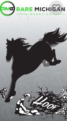 Photograph of product: Rare MI Genetics | Hoof | Flower | 3.5g