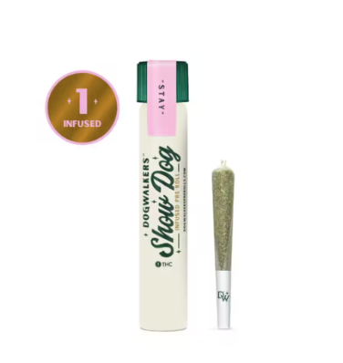 Photograph of product: AFTERNOON DELIGHT | SHOW DOG | INFUSED | 1G