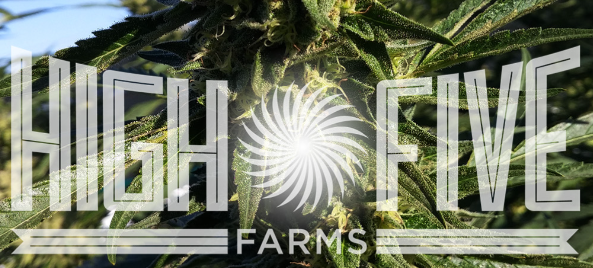 Photograph of Product: High Five Farms - Garlic Breath - 28g