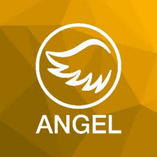Photograph of product: ANGEL | MIXED DROPS | 20:1:1:1| CBD/TH-oui/CBG/CBN |