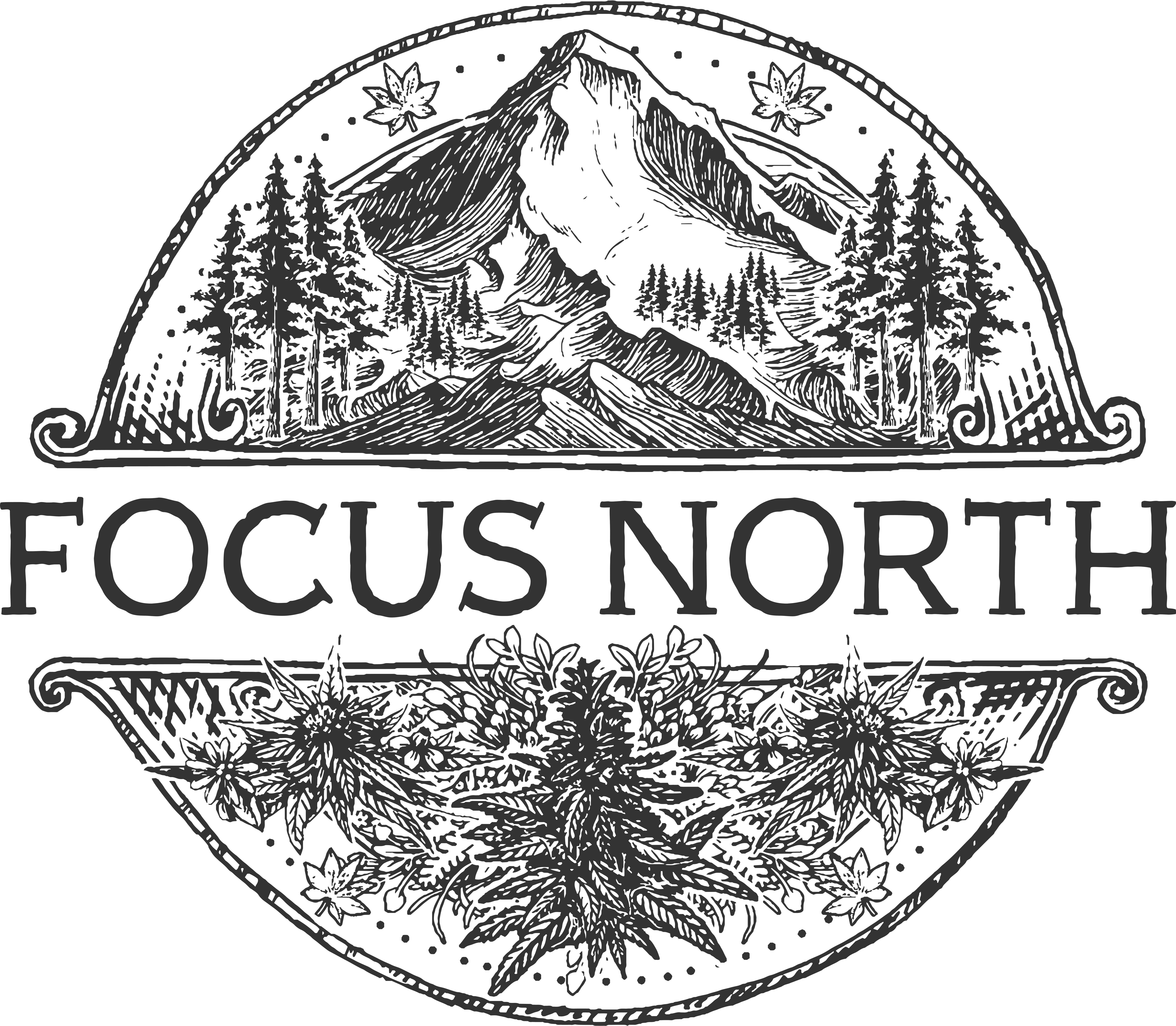 Photograph of product: Focus North | COLORADO SUNSHINE Preroll Pack | 4g