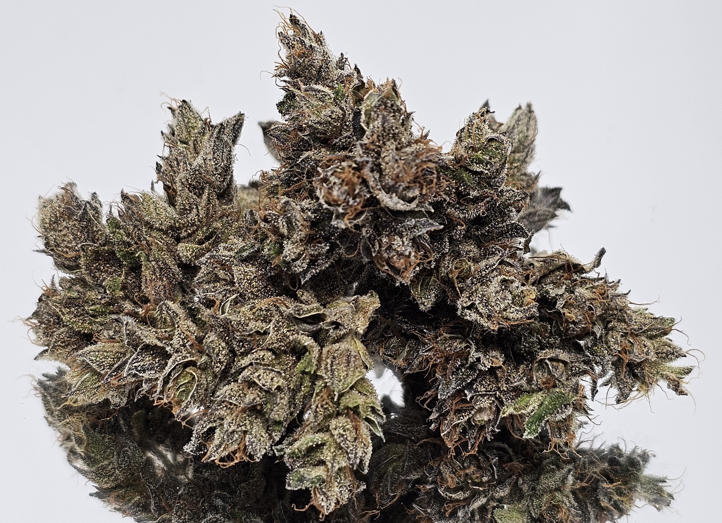 Photograph of product: Nubia CBD [DOH] - by Doghouse - 3.5g