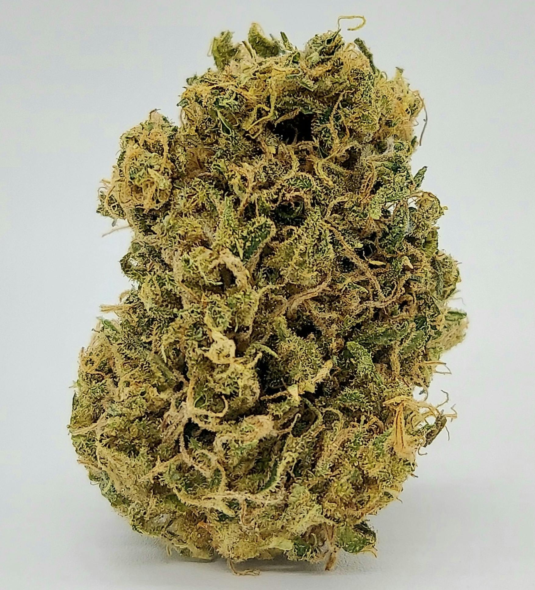 Photograph of product: Golden Pineapple