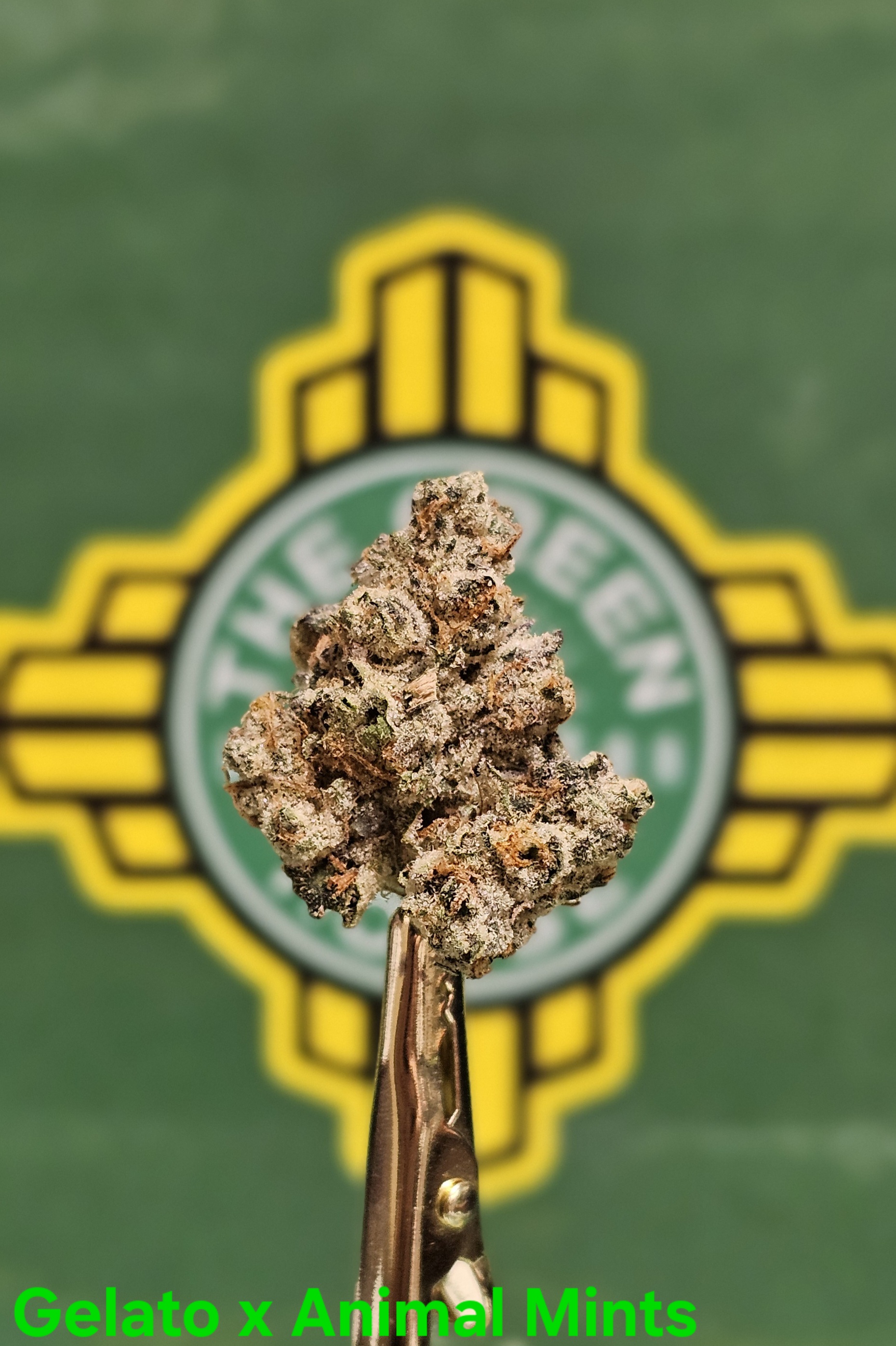Photograph of product: Growers Circle - Gelato x Animal Mintz - (H) - 3.5g